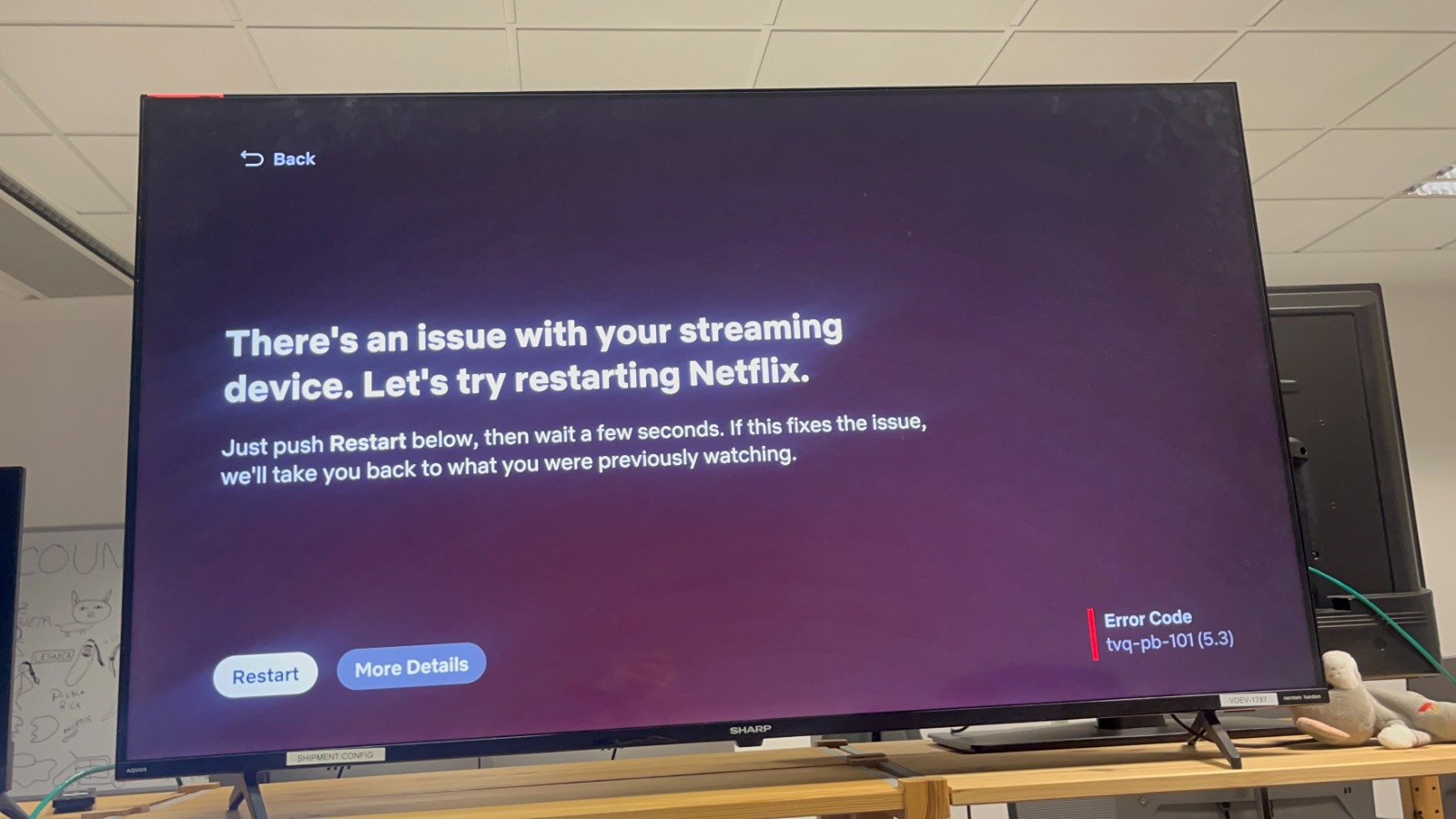 Netflix app produces an error when launching or playing content